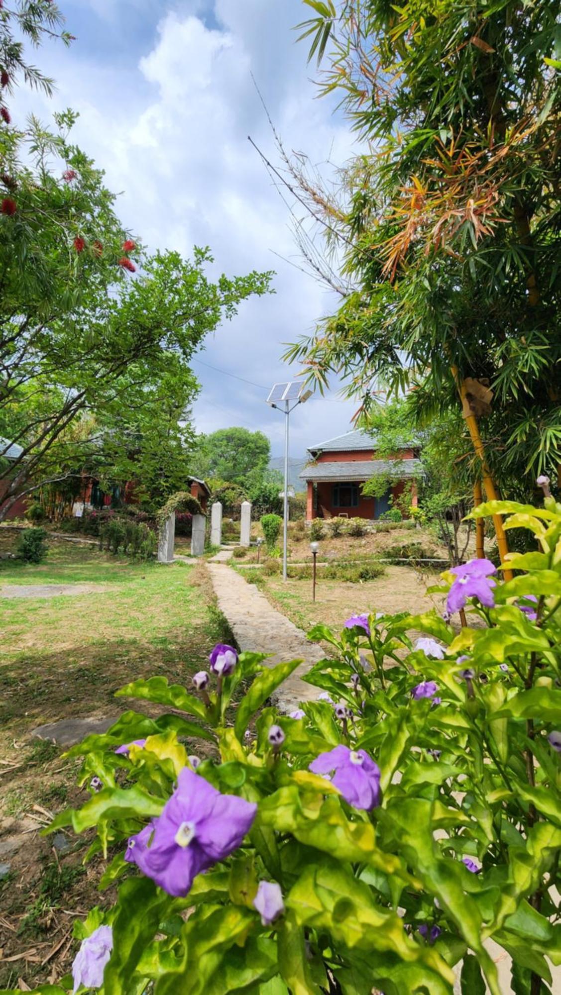 Namlang Resort Bīr المظهر الخارجي الصورة