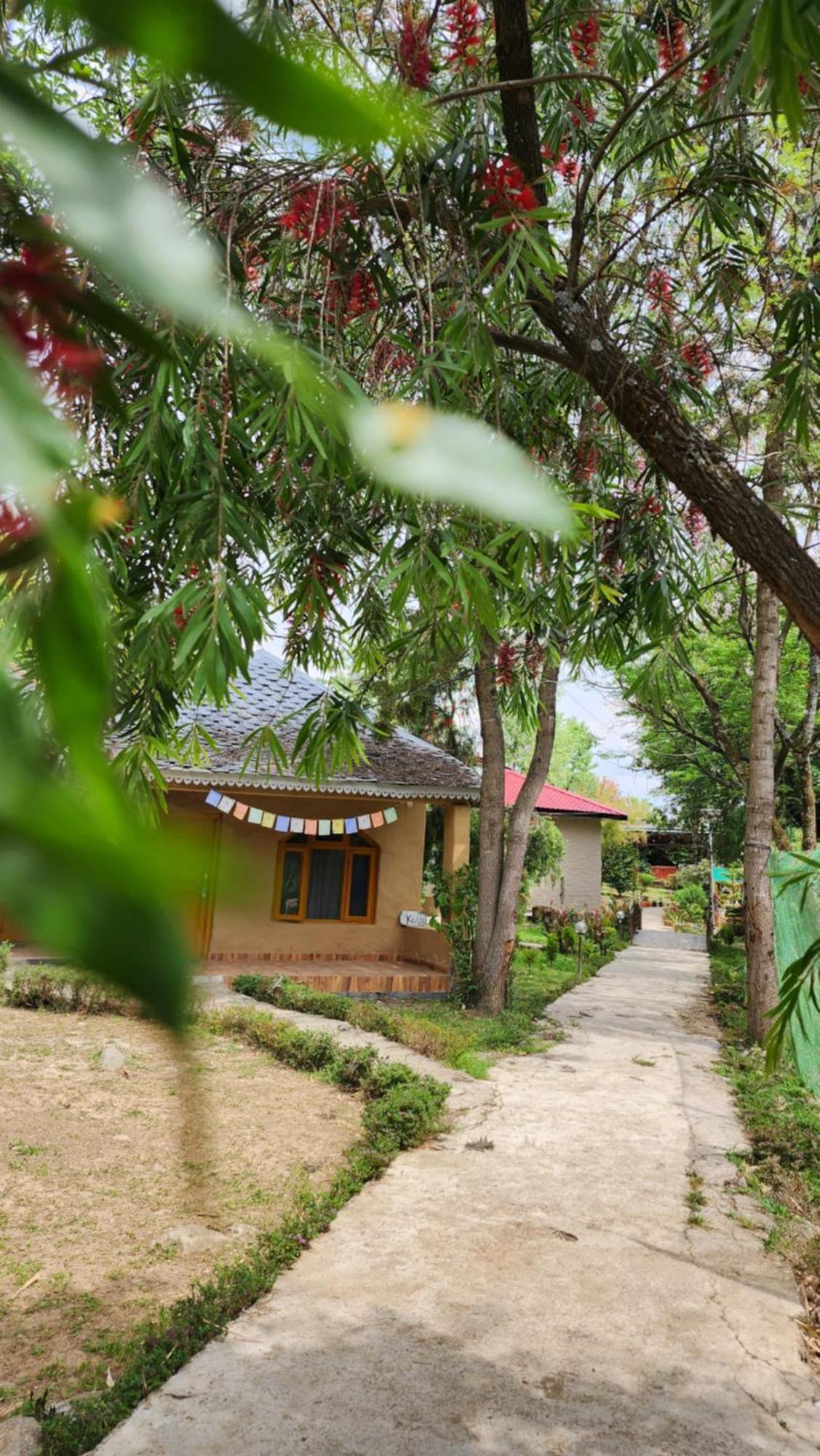 Namlang Resort Bīr المظهر الخارجي الصورة