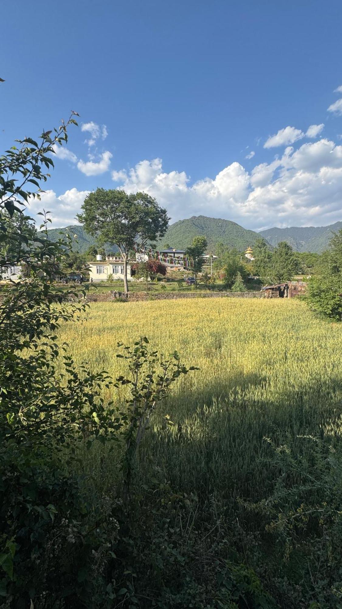 Namlang Resort Bīr المظهر الخارجي الصورة